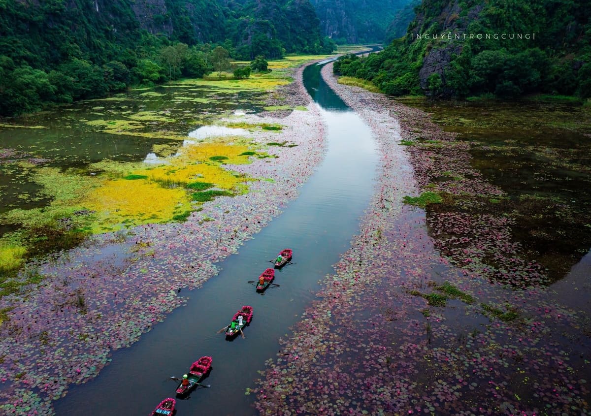 Ninh Binh Travel Hacks: Beating the Crowds, Scams, and the "No Grab" Rule