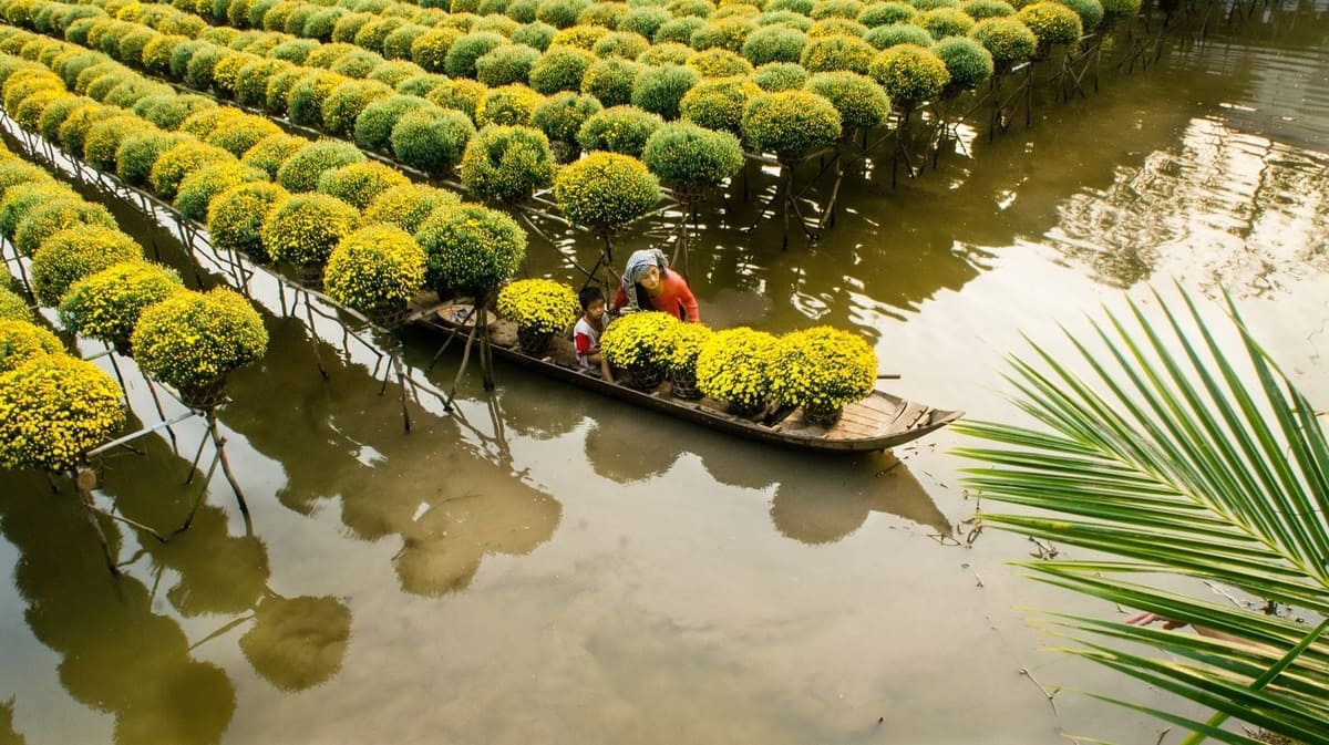 Sa Dec Vietnam: Why This Floral Escape is the Mekong’s Best-Kept Secret