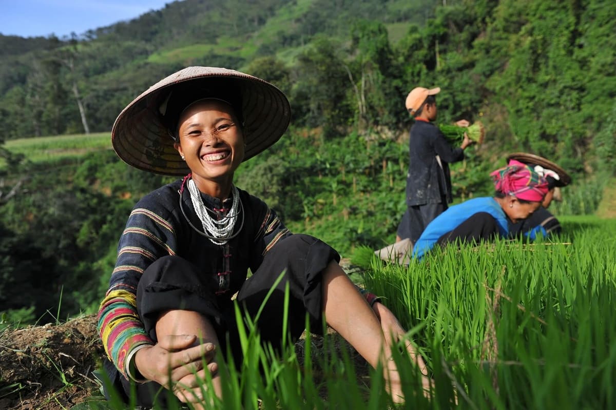 Vietnam travel tips: The ultimate insider guide to logistics, safety, and culture