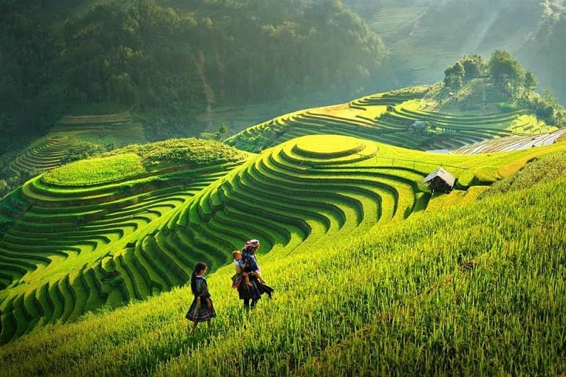 Sapa Travel Guide: Dodge the Scams & Find the Real Soul