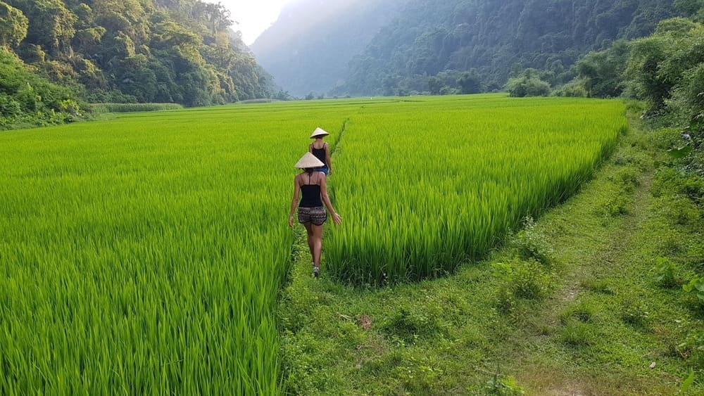 Mai Chau travel guide: Authentic homestays, rice terraces, and local logistics