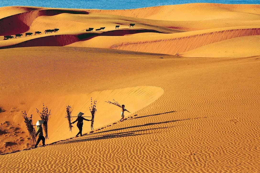 Mui Ne: the $16 luxury minibus route and how to avoid the quad bike rental scams